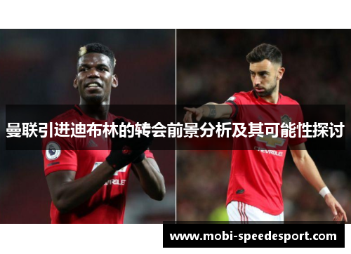 曼联引进迪布林的转会前景分析及其可能性探讨
