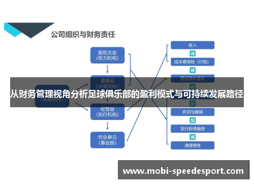 从财务管理视角分析足球俱乐部的盈利模式与可持续发展路径