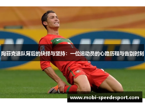 陶菲克退队背后的抉择与坚持:一位运动员的心路历程与告别时刻