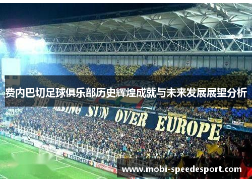 费内巴切足球俱乐部历史辉煌成就与未来发展展望分析