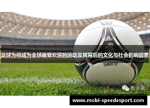 足球为何成为全球最受欢迎的运动及其背后的文化与社会影响因素